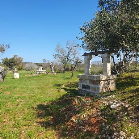 Agricampeggio Tenuta Ferrario