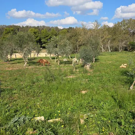Agricampeggio Tenuta Ferrario 갈리폴리