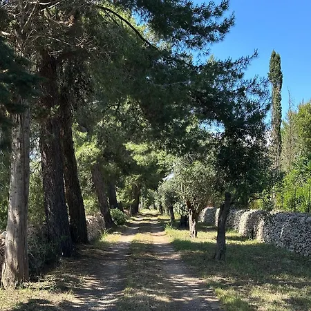 Agricampeggio Tenuta Ferrario *