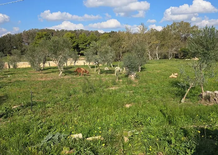 Agricampeggio Tenuta Ferrario Gallipoli