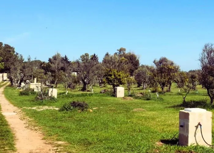 Agricampeggio Tenuta Ferrario Camping