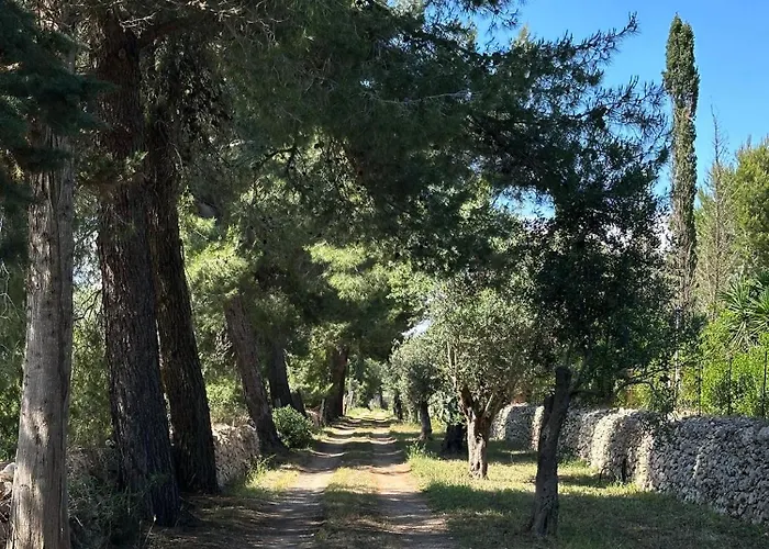 Agricampeggio Tenuta Ferrario *